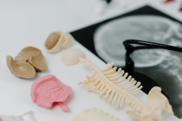 De l'accouchement naturel à la maternité : comment ça se passe